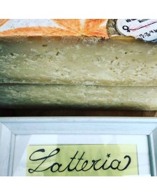 LATTERIA