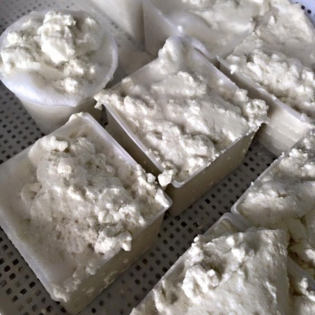 RICOTTA
