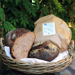 Pane integrale  con Miele e Noci
