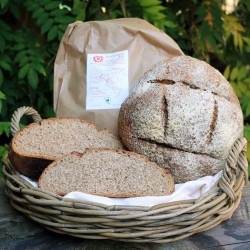 Pane integrale degli 11 grani antichi