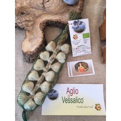 Aglio di Vessalico (IM) presidio Slowfood